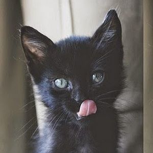 Meet your Posher, Vicky